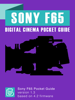 Digital Cinema Pocket Guides | The Black and Blue
